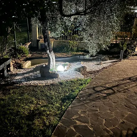 Oleandri D'ogoz * Tratalias