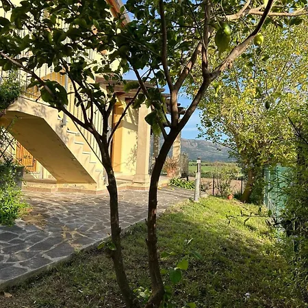 Oleandri D'ogoz Tratalias